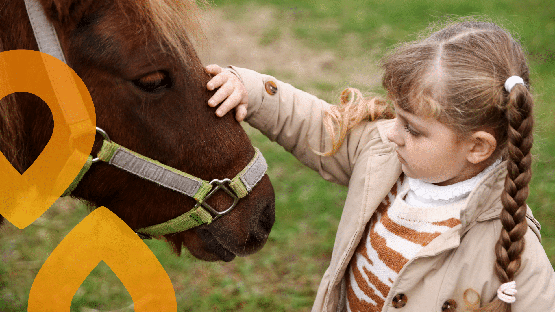 Lapsi silittää ponia